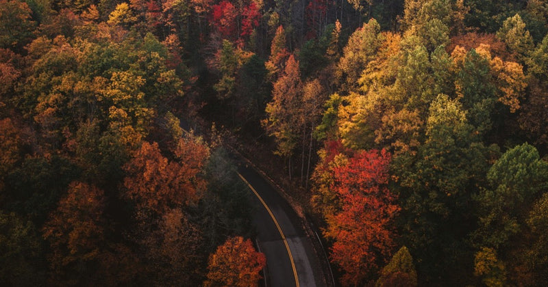Autumn Is Here: 3 Signs Your Skin Needs More Comfort