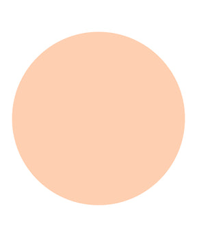 15 Salmon Beige