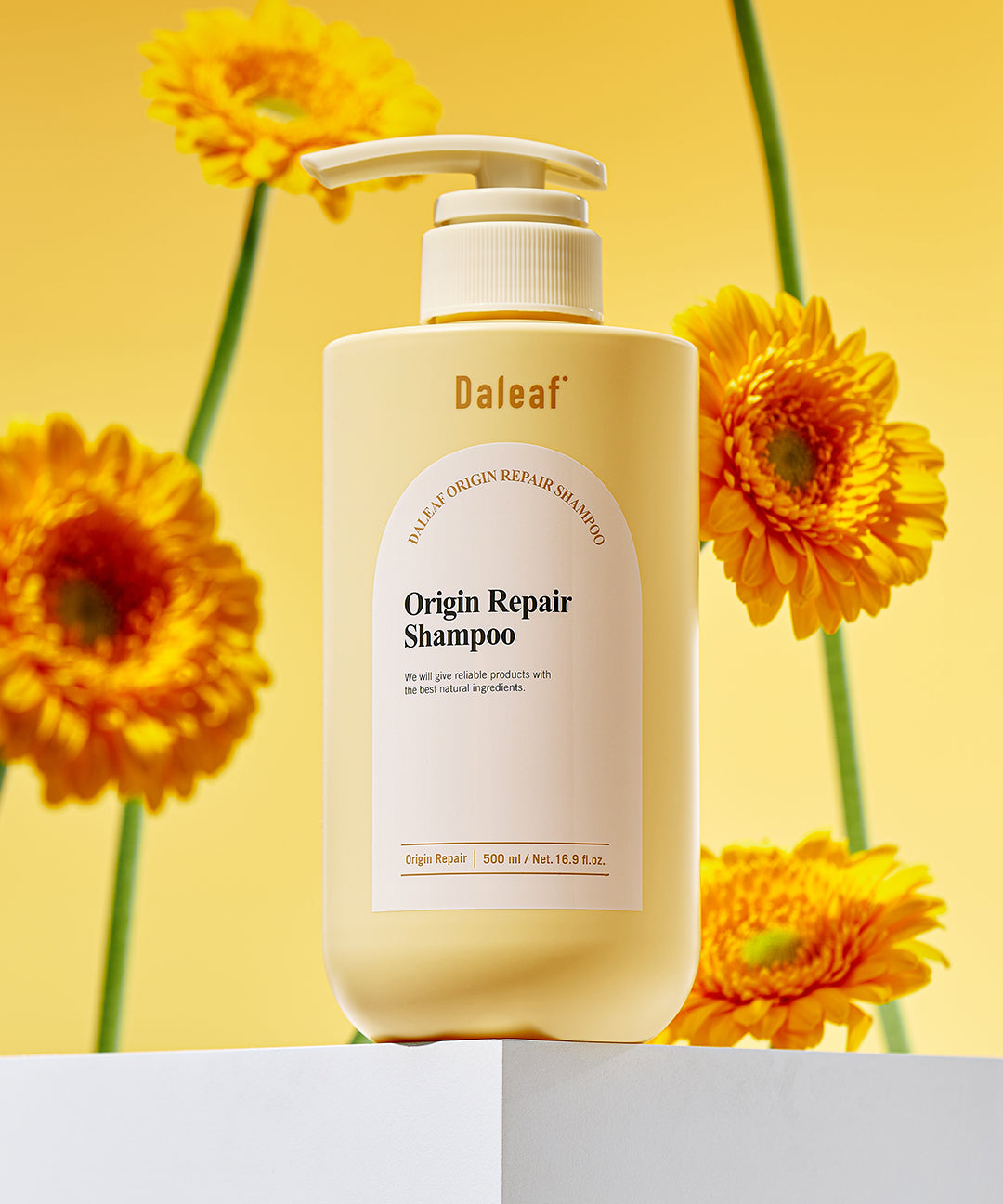 piyonna Dalif Origin Repair Shampoo 500ml Cheveux & Soins corps Soin cheveux Shampooing