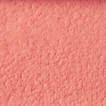 D2 Touch Coral
