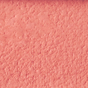 D2 Touch Coral