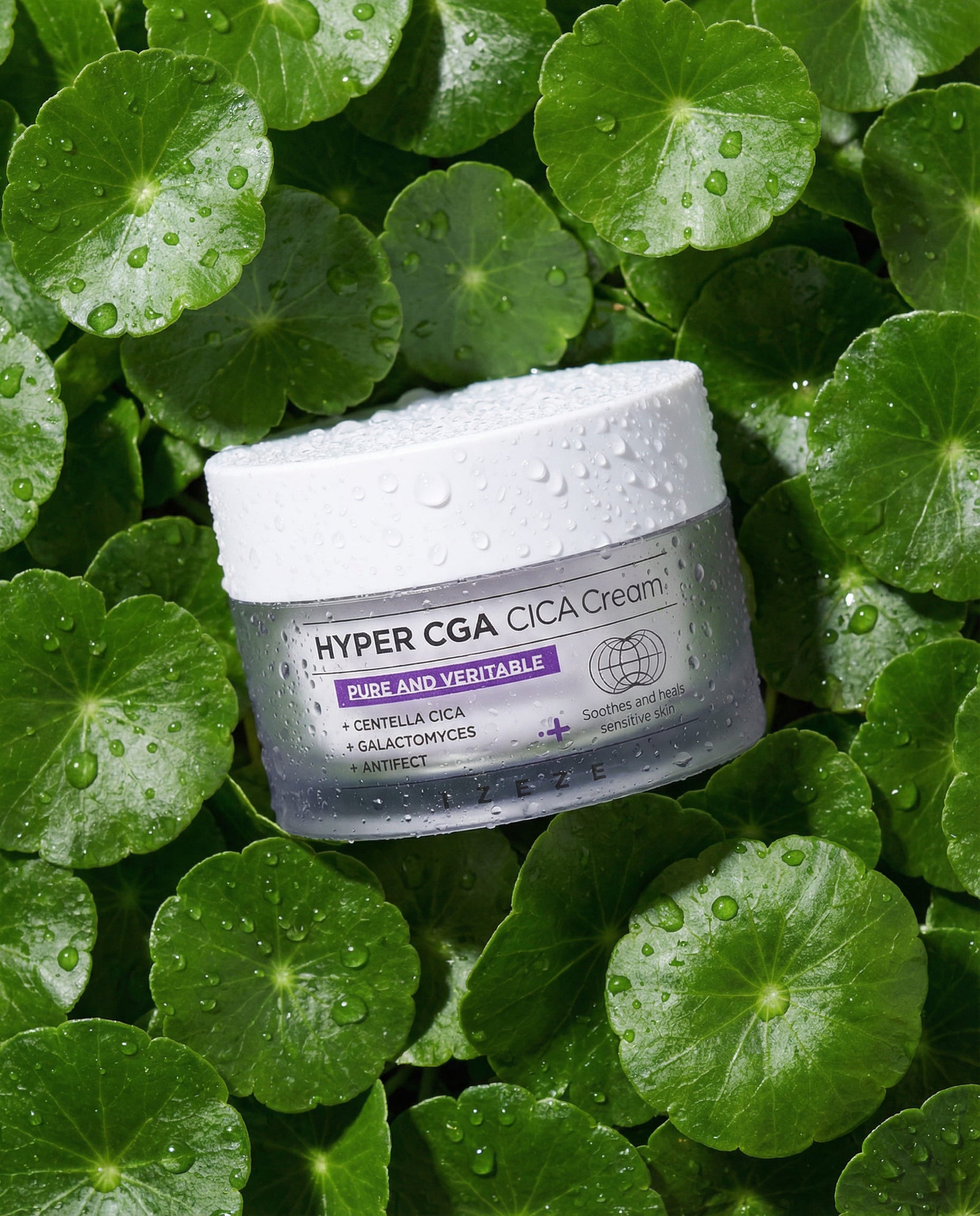 piyonna Hyper CGA Cica Cream 50ml Soins visage Crème