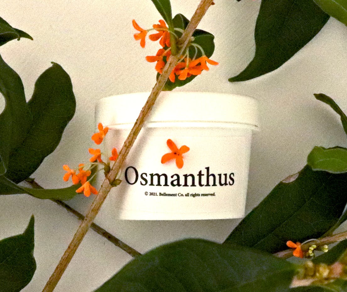 piyonna Belmang Manrihyang Geummokseo Intensive Hand Balm 50g Corps & Cheveux Soin du corps Soin des mains