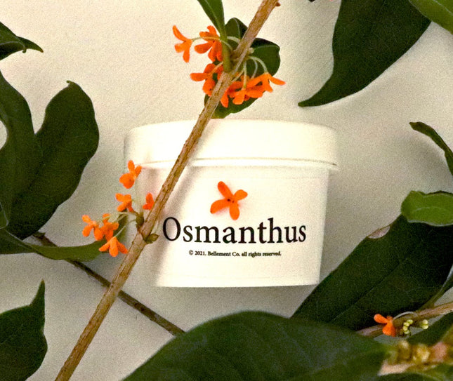 piyonna Belmang Manrihyang Geummokseo Intensive Hand Balm 50g Hair & Body Care Body Care Hand Care
