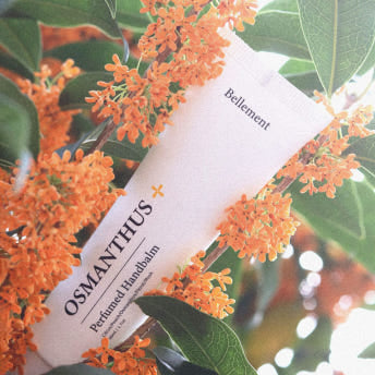 piyonna Belmang Geummokseo Intensive Hand Cream Manrihyang 50ml Hair & Body Care Body Care Hand Care
