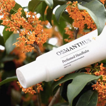 piyonna Belmang Geummokseo Intensive Hand Cream Manrihyang 50ml Corps & Cheveux Soin du corps Soin des mains