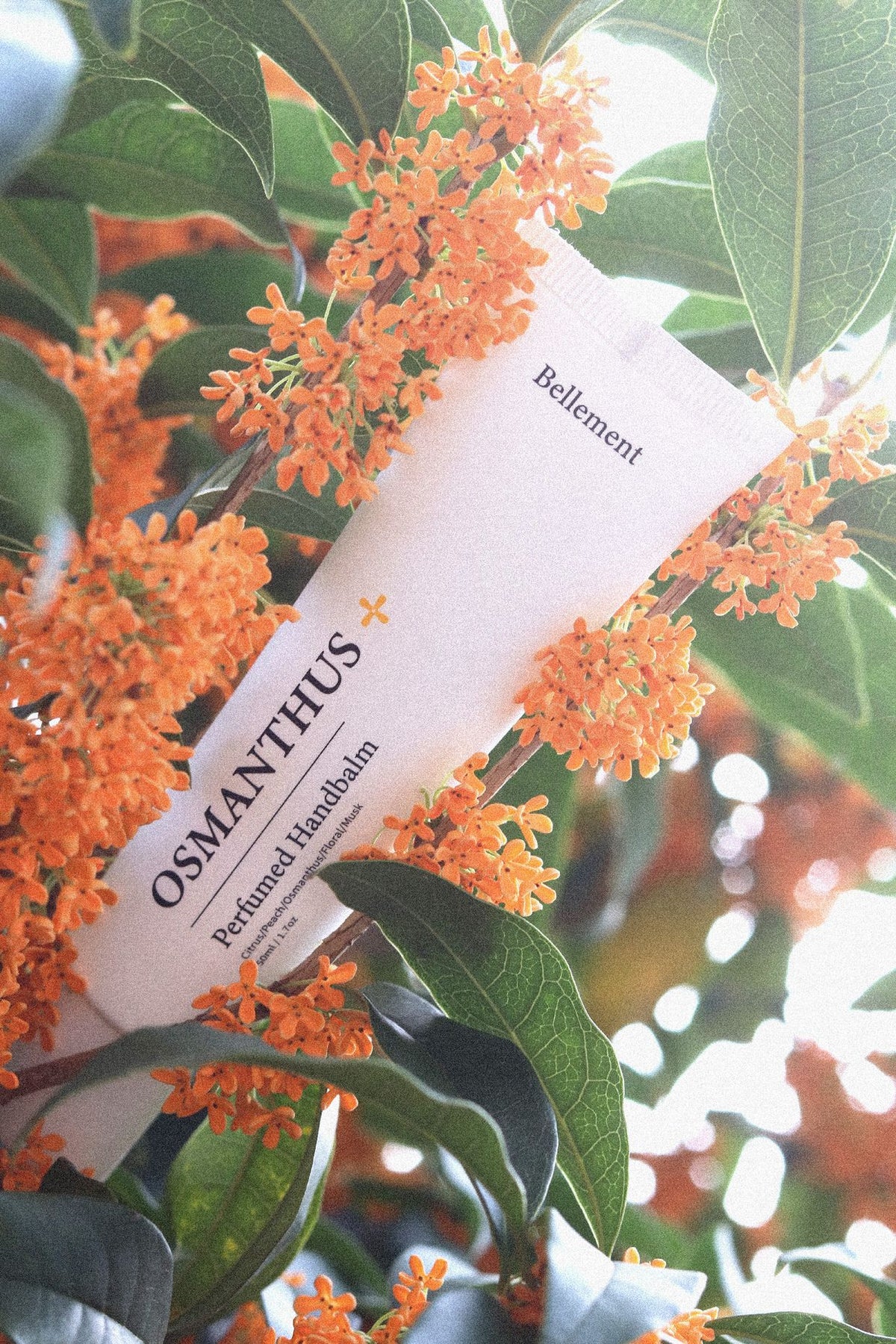 piyonna Belmang Geummokseo Intensive Hand Cream Manrihyang 50ml Corps & Cheveux Soin du corps Soin des mains
