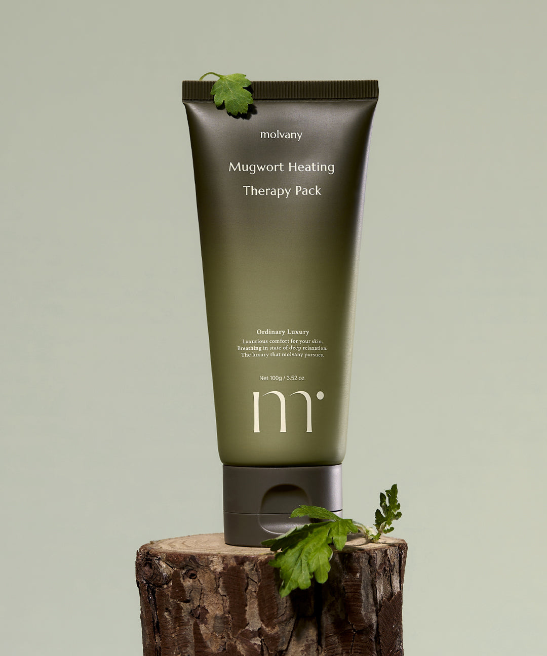 piyonna Molbani Ssuktteum Therapy Pack 100g Face Mask Wash Off Mask