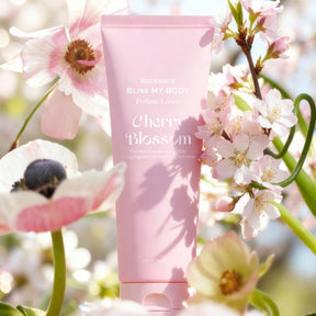 Cherry Blossom